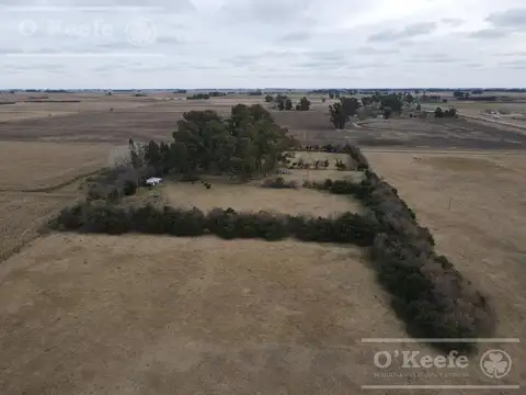 Chacra en venta de 20 Has sobre Ruta 3 - Combina producción y descanso  - Las Flores