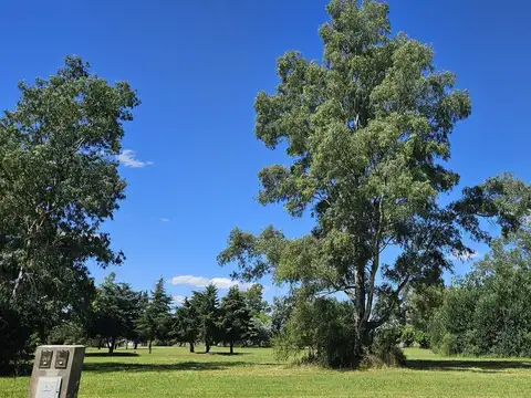 IMPERDIBLE LOTE al Golf en PINARES COUNTRY 