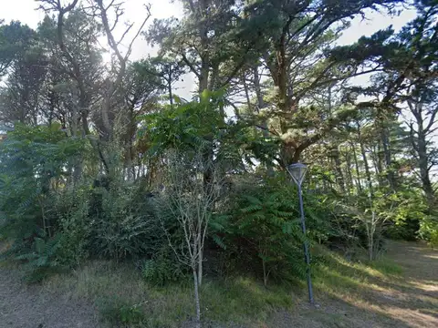 Providencia y Carpintero Lote 8