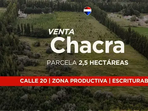 VENTA CHACRA 2,5HAS, CALLE 20 CENTENARIO - NEUQUÉN