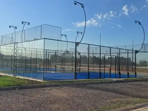 LOTE Saint Thomas Chico