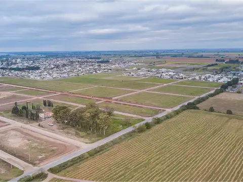 Terreno en Venta 10  mts Fondo