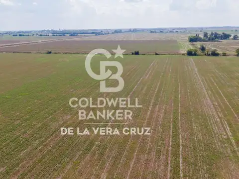 CAMPO AGRICOLA ZONA SAN AGUSTIN