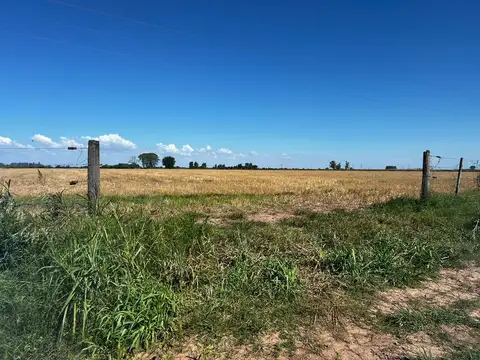 Campo en Santa Fe