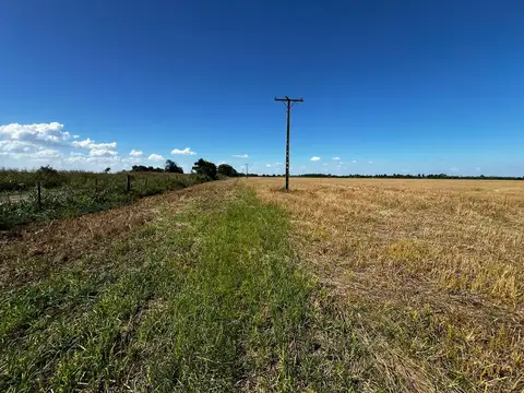 CAMPO AGRICOLA ZONA SAN AGUSTIN