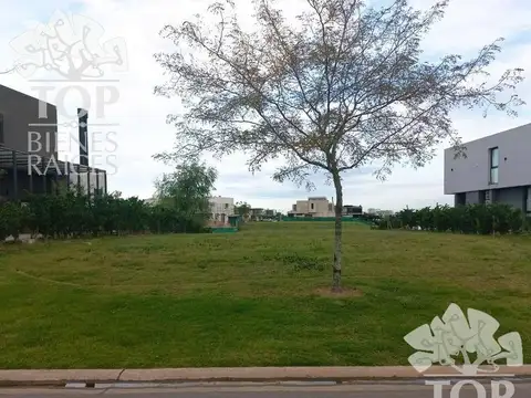 Avenida de los lagos 100