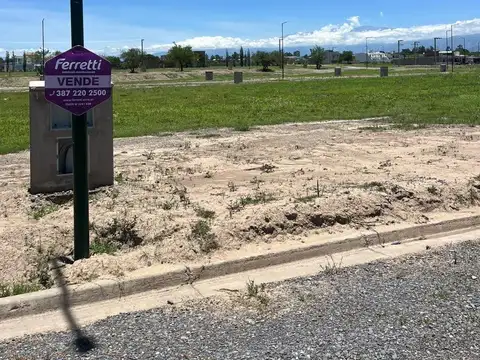 Terreno en Via Aurelia