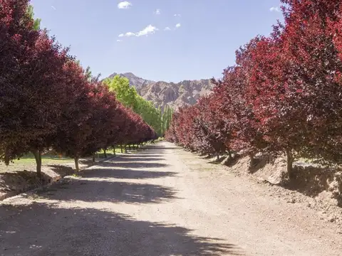 Terreno en Venta en Las Heras, USD 30.000
