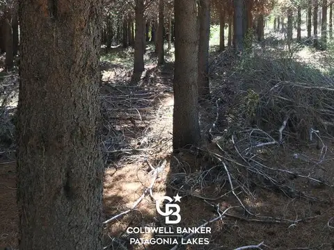 VENTA 60 Ha con acceso sobre costa de Río Limay - Valle Encantado