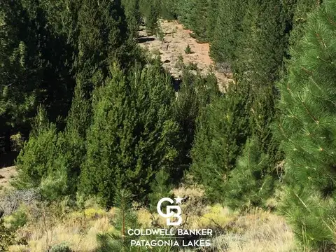 VENTA 60 Ha con acceso sobre costa de Río Limay - Valle Encantado