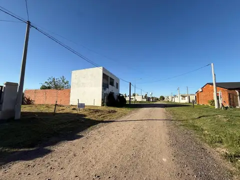 Palavecino