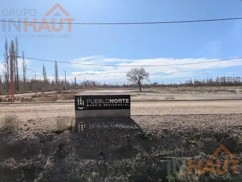 Juan D´Arienzo y Chelforo