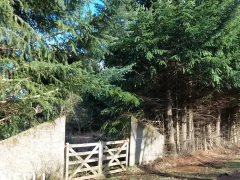Terreno en Venta de 420,0 m2