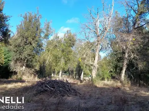 Lotes en Venta en Barrio Las balsas (cód. 207)