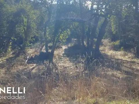 Terreno en Venta de 420,0 m2