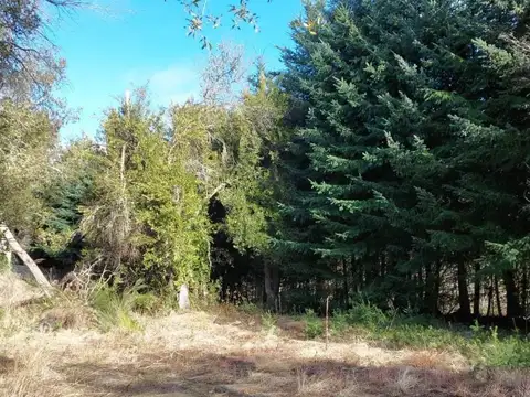 Terreno en Venta en Puerto, USD 60.000