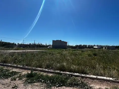 LOTE EN VENTA FERNANDEZ ORO