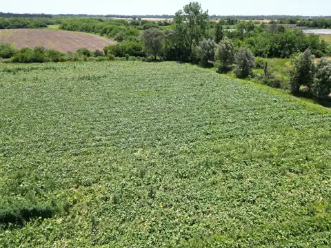 FRACCION INDUSTRIAL EN ZARATE 100