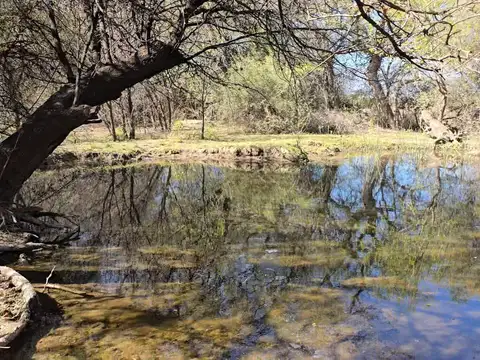 Campo en Venta de 4  ha