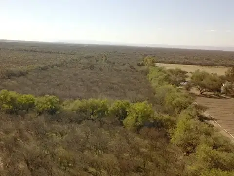 Campo Jalisco 4 he