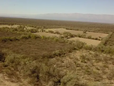 Campo en Venta Ganadero