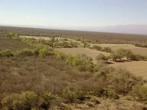 Campo Jalisco 4 he