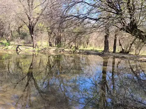 Campo en Venta de 4  ha