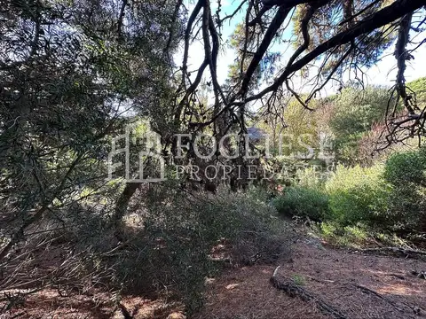 Terreno en Venta de 450,0 m2