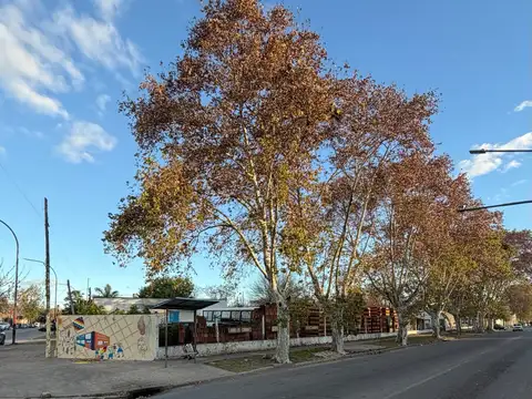 Local en Alquiler 30 años