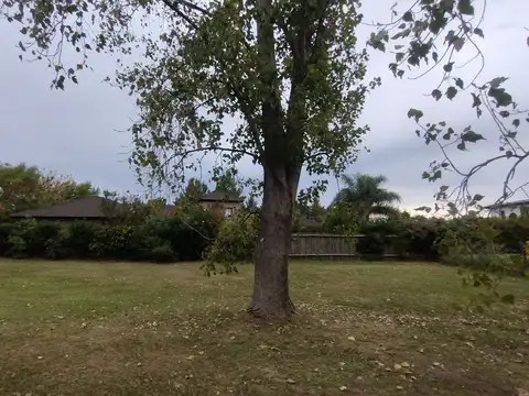 Terreno en Venta 35  mts Fondo