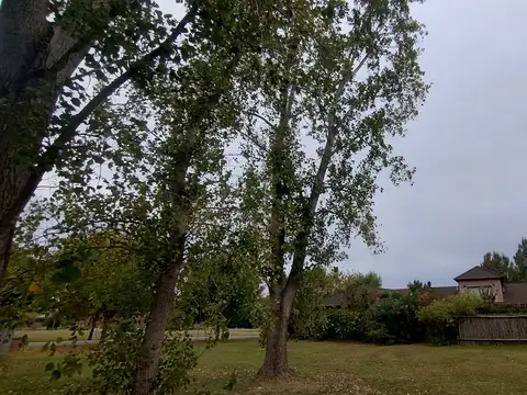 Terreno en Venta de 776,0 m2