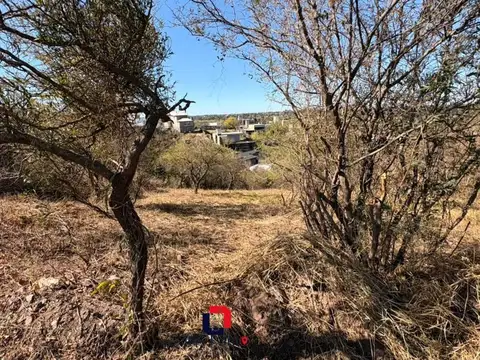 Cerro Incahuasi 1500