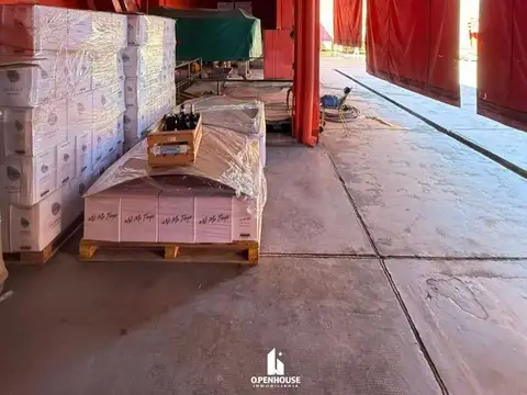 Terreno en Venta de 11000,0 m2