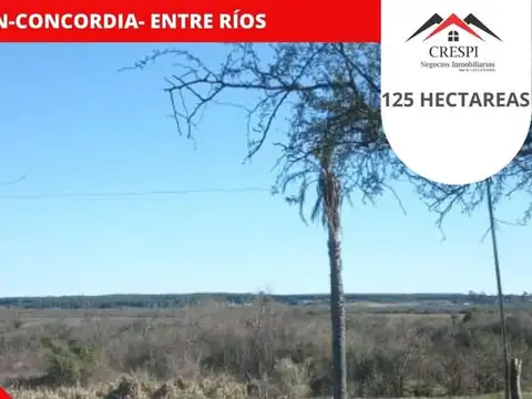 125 hectáreas