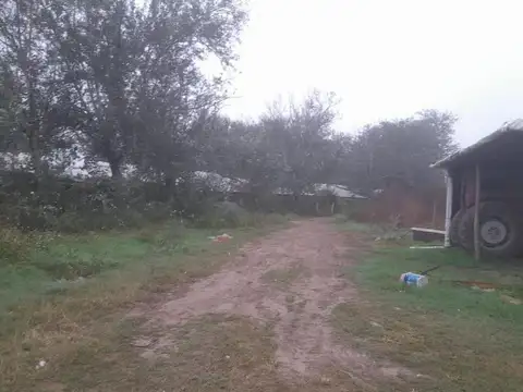Venta Campo 6 Hectareas COLONIA CAROYA