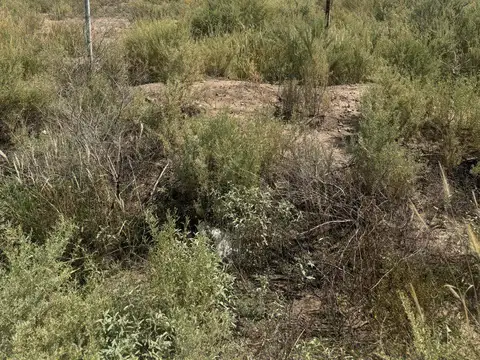Terreno / Lote en venta de 450m2 ubicado en San Rafael