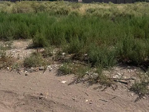 Terreno en Venta en San Rafael, USD 18.000
