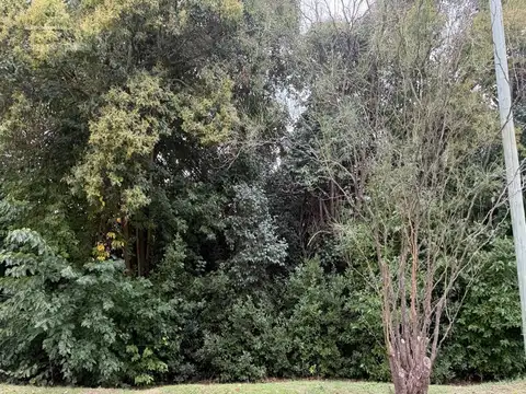 Terreno en San Carlos