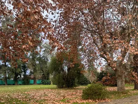 Terreno en Venta, FOS 0,5