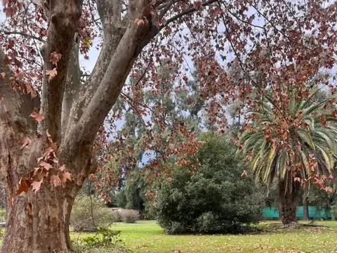 VENTA, TERRENO EN CENTRO DE PILAR, PILAR