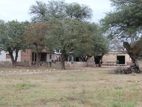 Pública