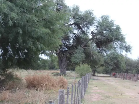 Campo en Venta de 1.800  ha