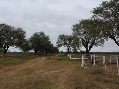 Precioso campo de 1800ha