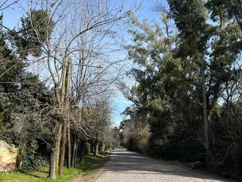 Terreno en Venta 60  mts Frente