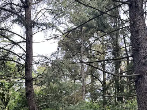 Miguel de Unamuno 5000