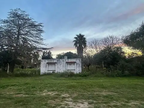 Venta Tres Terrenos en Oliveros