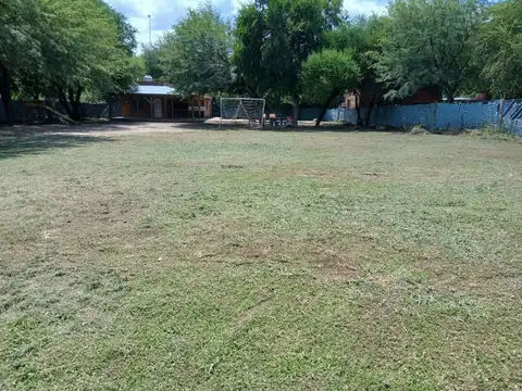 Camino de Tufi 100