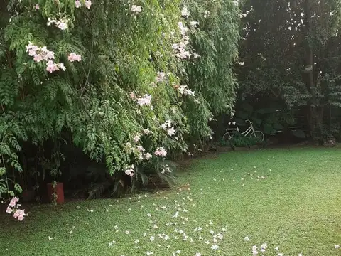 Gervasio Mendez 1800