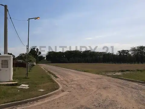 11 e/ 456 y 457 100, Piso 0