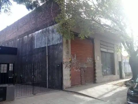 Poeta Risso 300